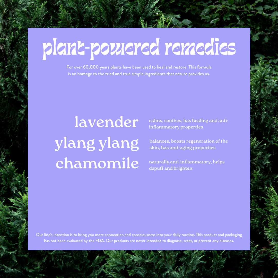 Purple card with text about plant-powered remedies on a green leafy background