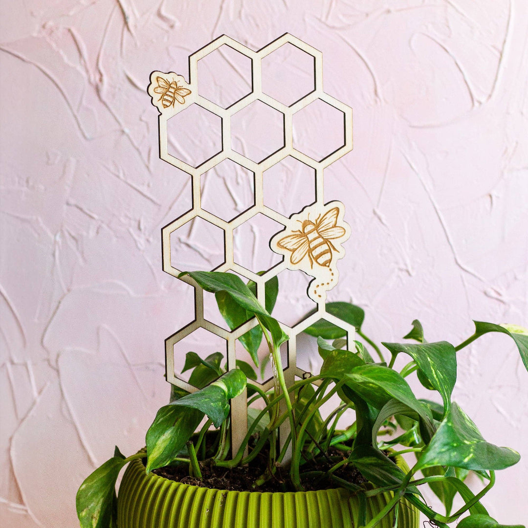 Decorative honeycomb plant stand with bees next to a potted plant on a textured white background