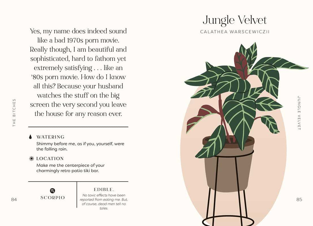 Houseplants And Their Fucked Up Thoughts | Simon & Schuster | Jungle Velvet