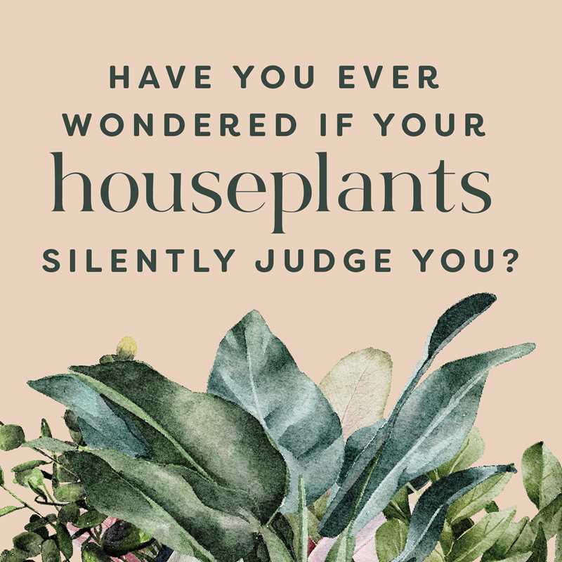 Simon & Schuster | Houseplants and their fucked up thoughts | Have you ever wondered if your houseplants silently judge you?