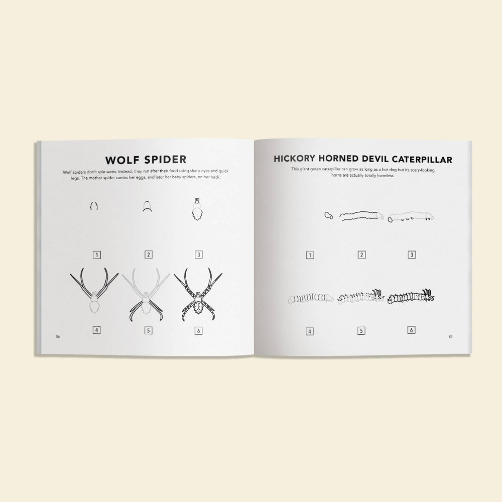 Open book showing illustrations of wolf spider and hickory horned devil caterpillar, on a beige background.