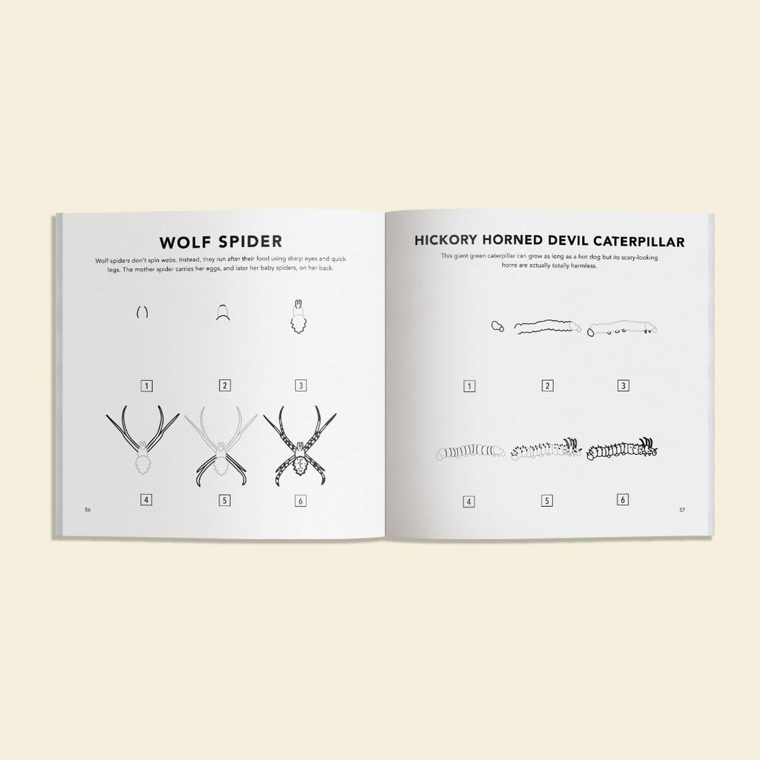 Open book showing illustrations of wolf spider and hickory horned devil caterpillar, on a beige background.