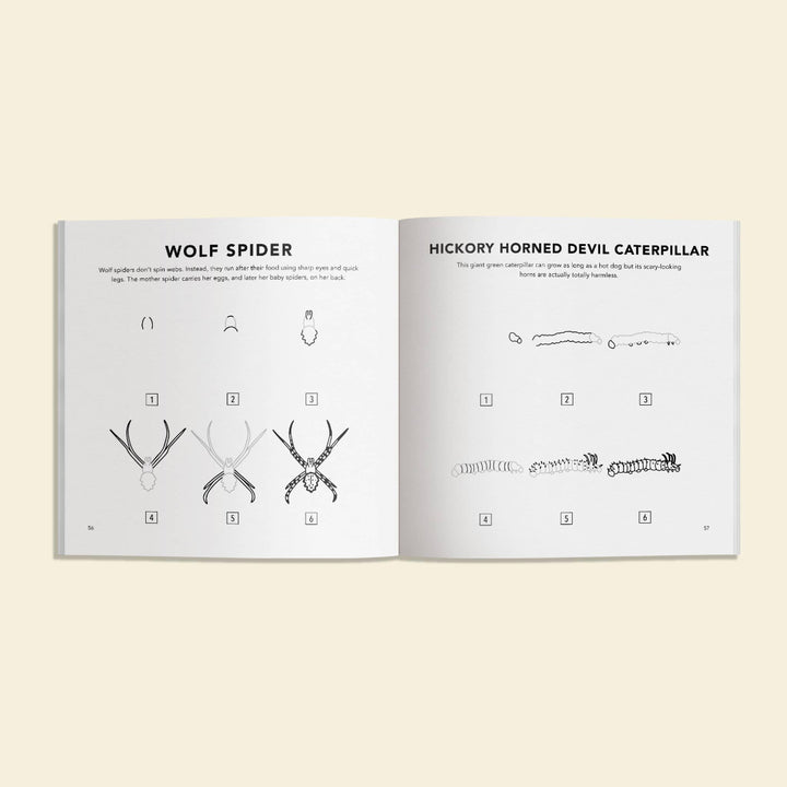 Open book showing illustrations of wolf spider and hickory horned devil caterpillar, on a beige background.