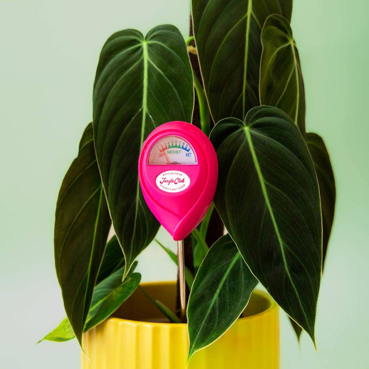Jungle Care | Moisture Meter | Hibiscus Pink against a green plant background.