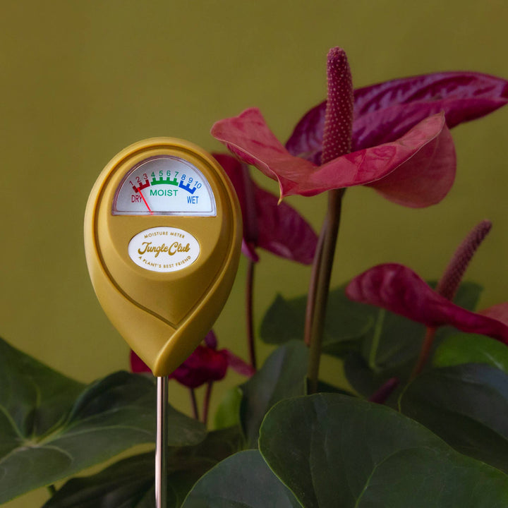 Jungle Club | Moisture Meter, green.
