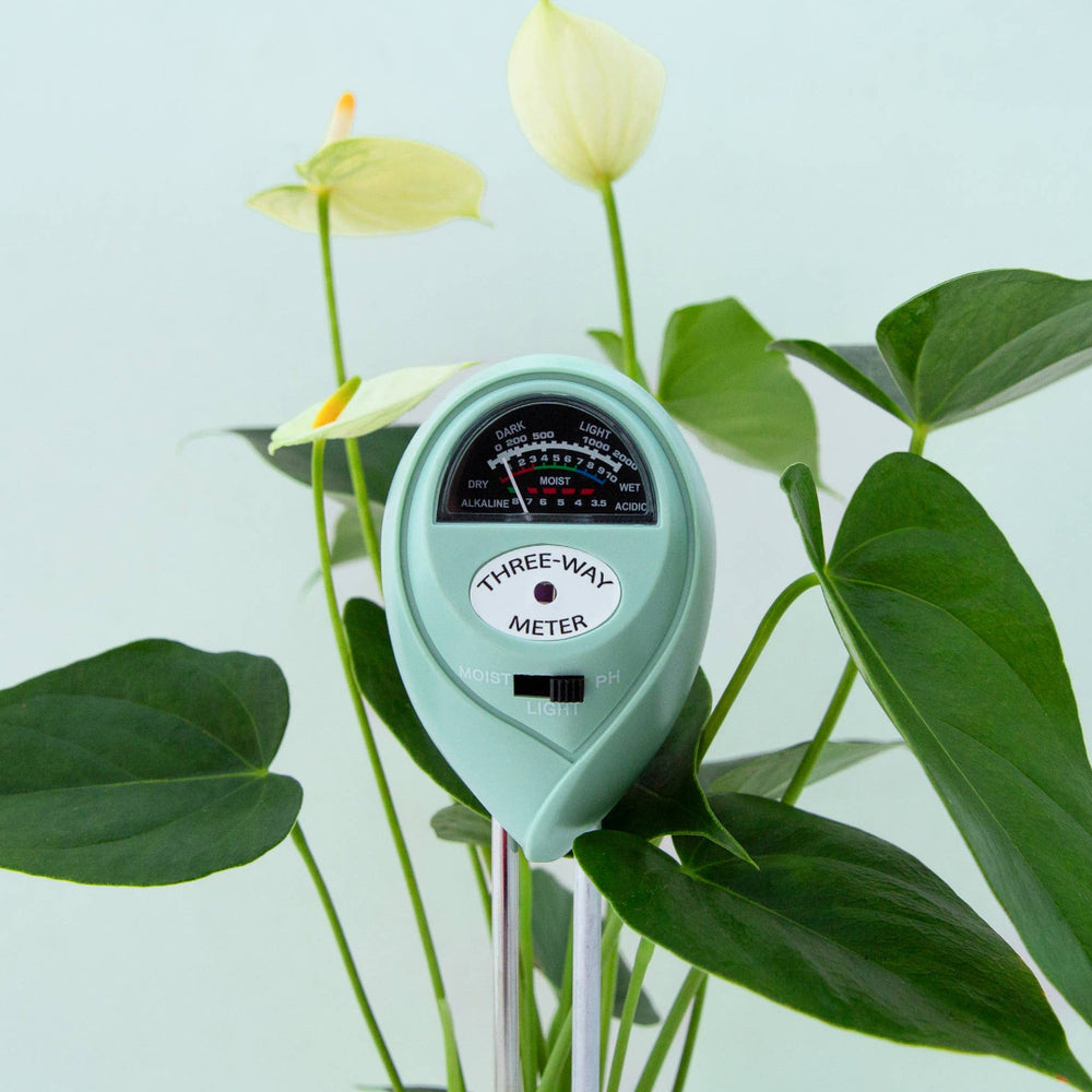 Jungle Club 3 in 1 moisture meter, lagoon color.