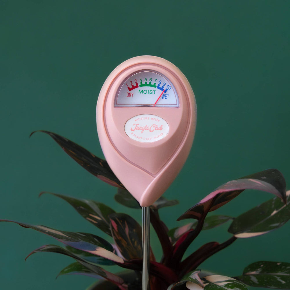 Jungle Club, moisture meter, pink