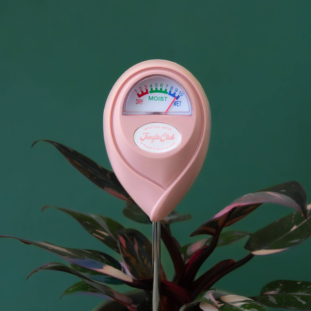 Jungle Club, moisture meter, pink
