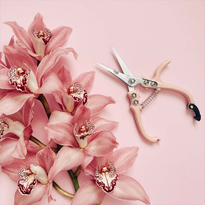 Jungle Club | Pruning Shears | Pink | Laying on a pink background next to pink orchids.