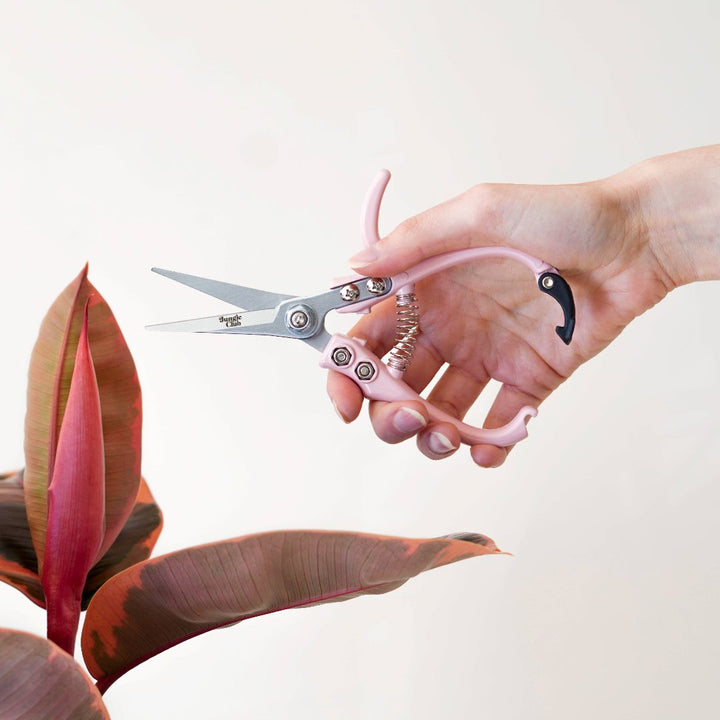 Jungle Club Pruning Shears | pink | Pruning shears held by a model.