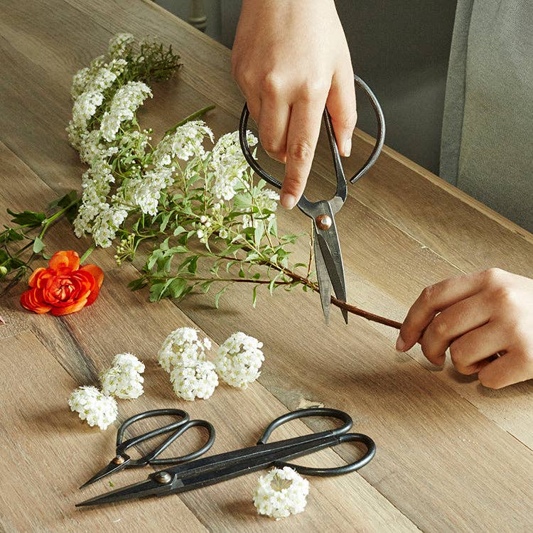Kikkerland Design Inc | Garden shears set of three in action. Model trims  branches.