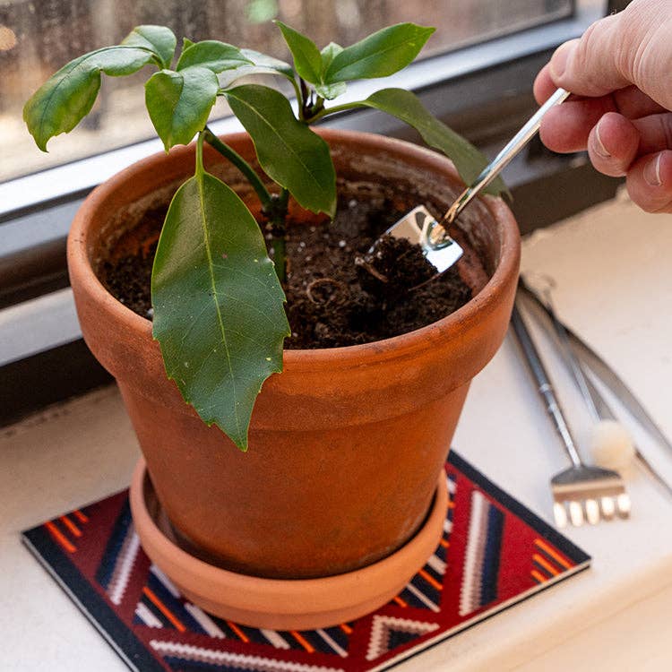 Kikkerland Design Inc | Mini shovel being used in a houseplant.