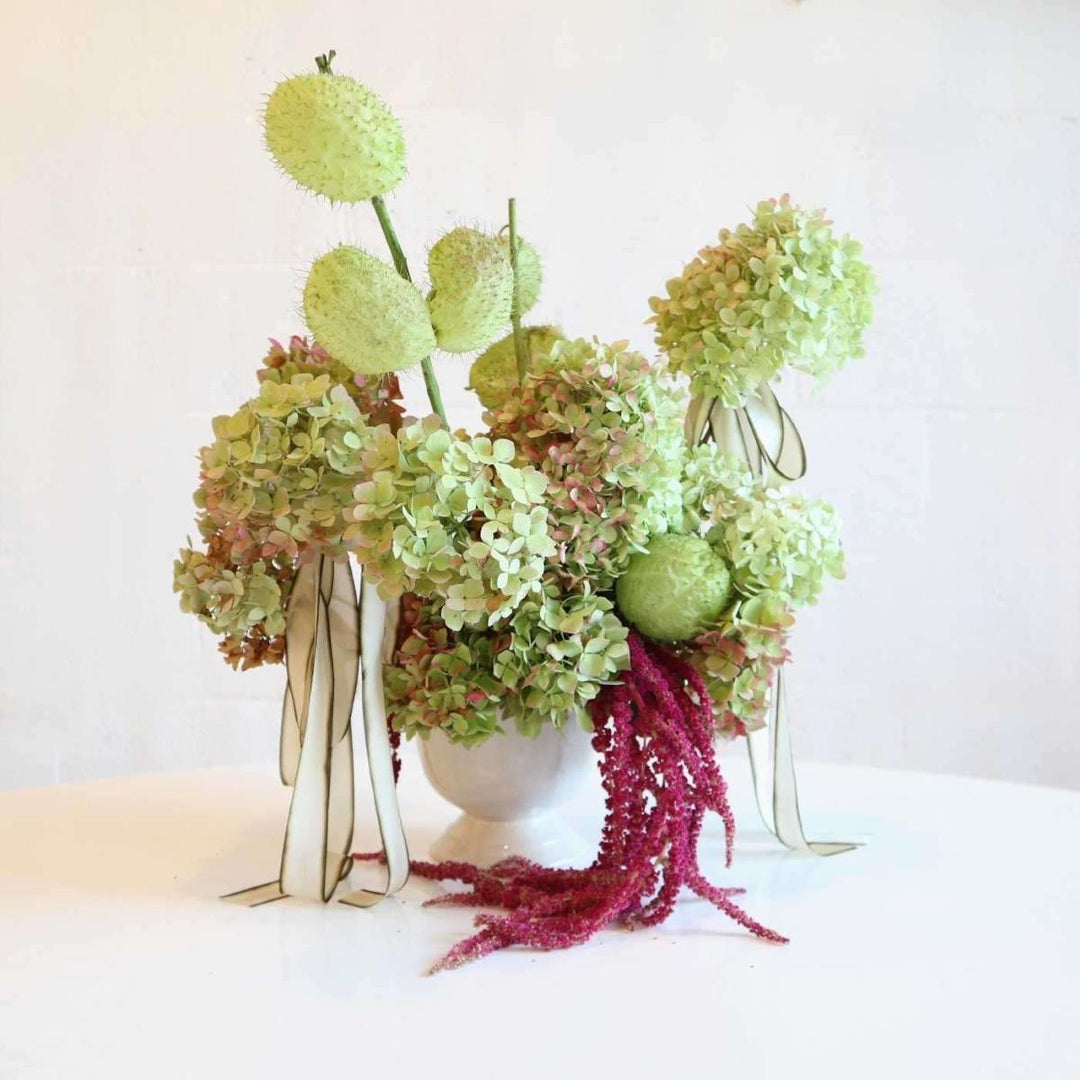 arrangement with light green and pink varigated hydrangeas, flowing ribbons, and rich amaranthus with Gomphocarpus