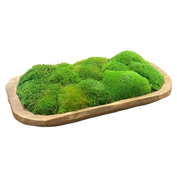 Forever Green Art | Everlasting Moss Wooden Bowl