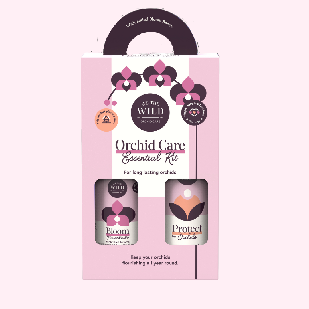 Orchid Essential Kit | We The Wild | A light pink and white box with a bottle of "Bloom Concentrate" and "Protect for Orchids". Text on box reads "We the wild orchid care, orchid care essential kit for long lasting orchids, keep your orchids flourishing all year round.