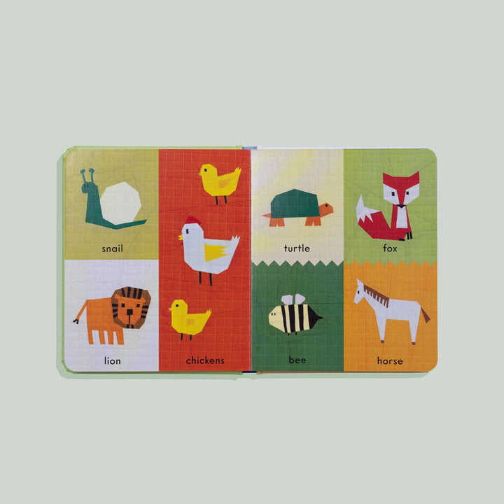 Educational card with animal illustrations and labels on a light gray background