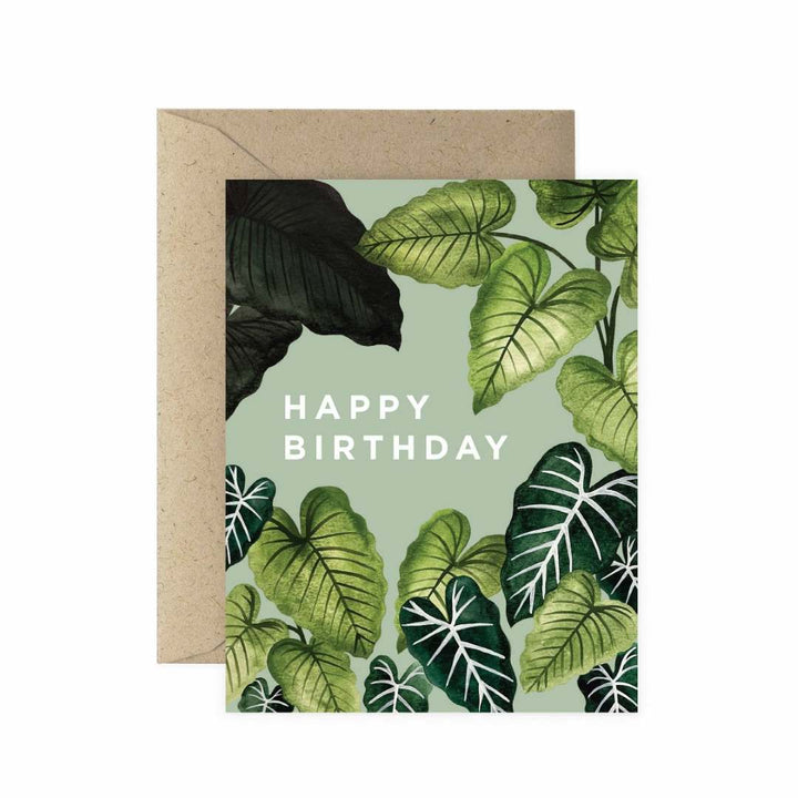 Paper Anchor Co. | Alocasia Happy Birthday Greeting Card | A watercolor illustrated plant greeting card that reads "Happy Birthday".