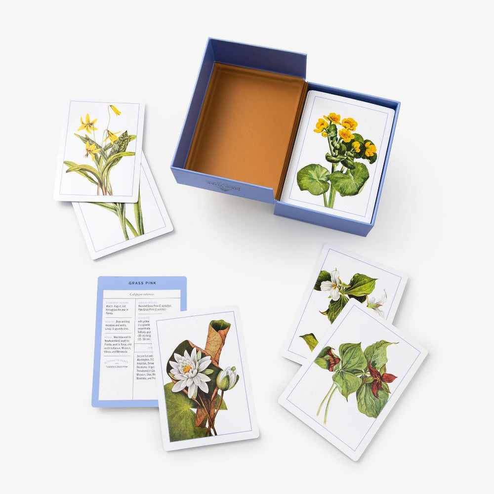 Penguin Random House | Botanical Flashcards | Beautifully illustrated floral cards with detailed descriptions.