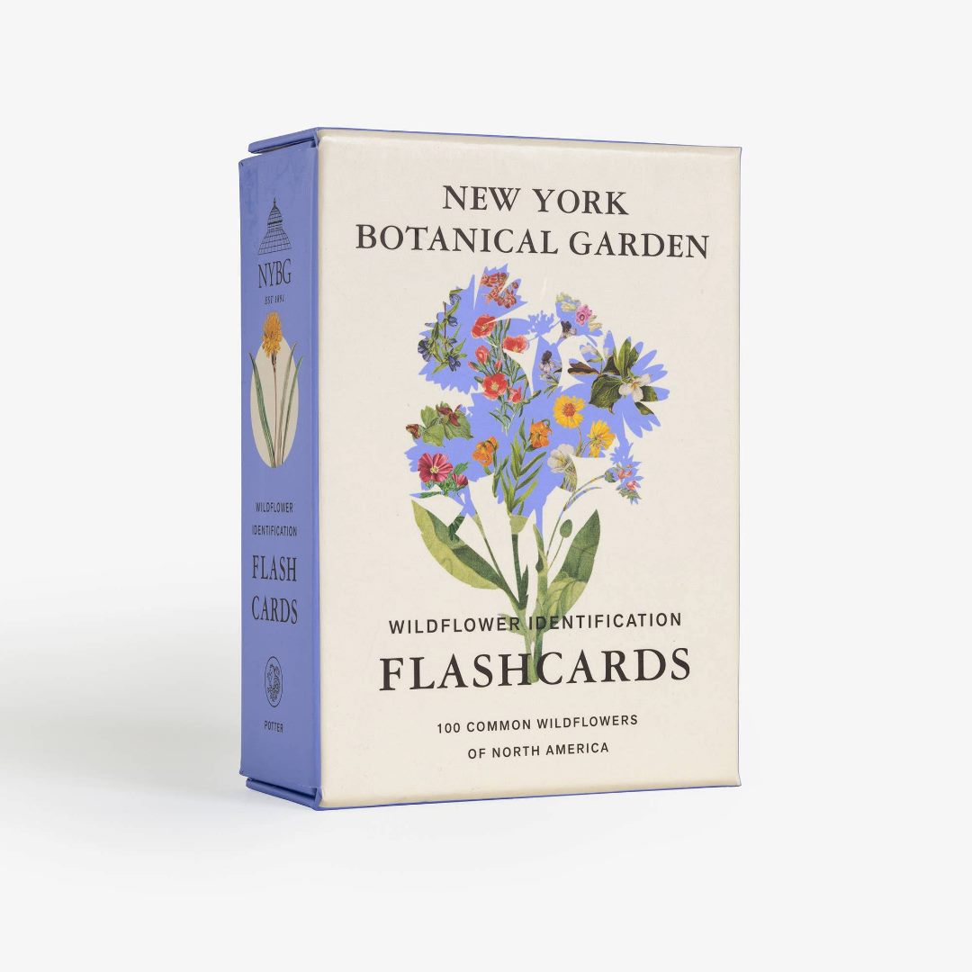 Penguin Random House | New York Botanical Garden Wildflower Identification Flashcards: 100 Common Wildflowers of North America. | A cream and purple box with floral designs.