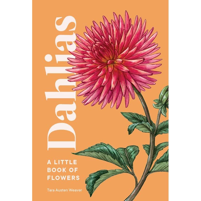 Penguin Random House | Dahlias: A Little Book of Flowers by Tara Austen Weaver.