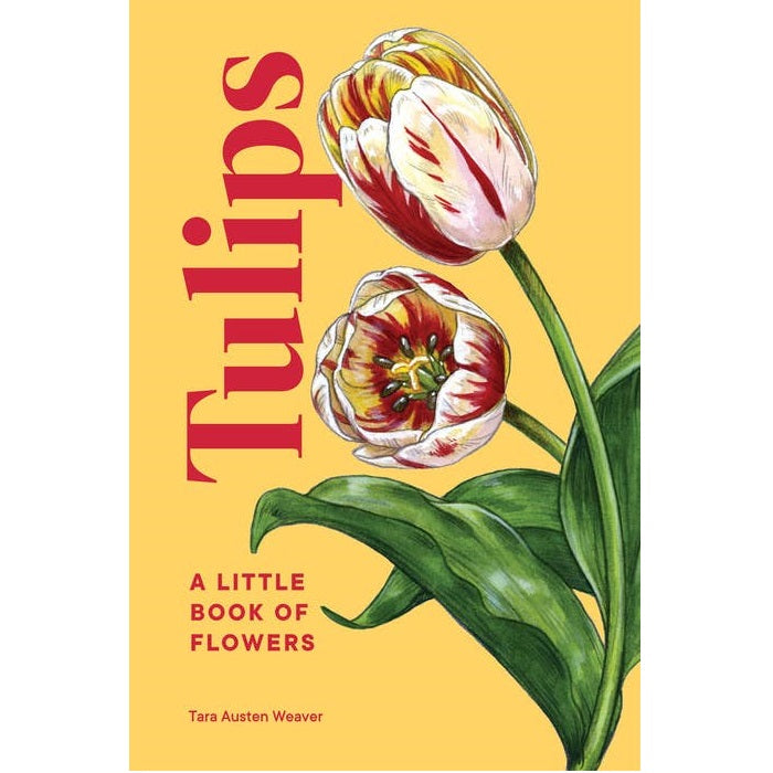 Penguin Random House | Tulips: A Little Book Of Flowers | Beautifully illustrated tulips on a yellow background.