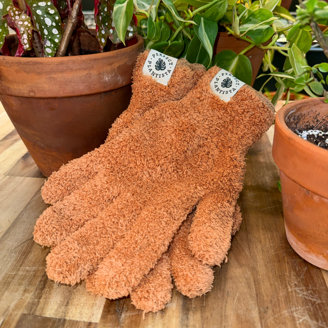Perfect Plantista microfiber gloves for dusting off houseplant leaves. Terracotta color.