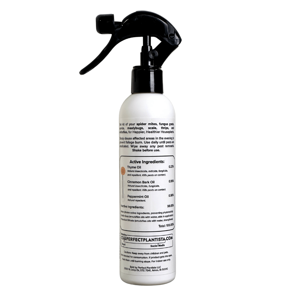 natural insect repellent for indoor plants Natural + Non-Toxic Houseplant Pest Spray