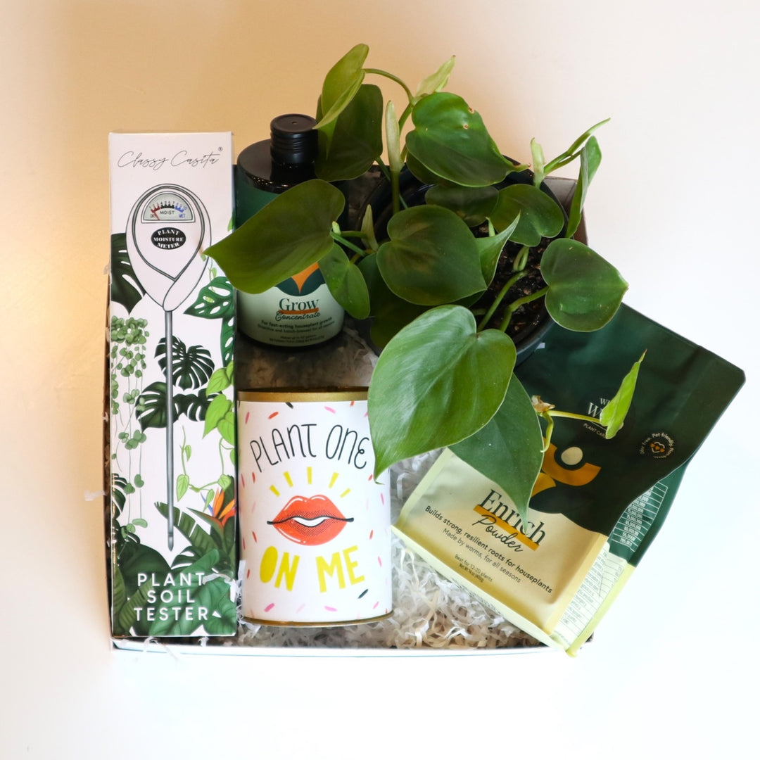 Plant Lover's Gift Box | Gift box with a Classy Casita plant soil tester, "plant one on me" punny can, We the Wild grown concentrate, We the Wild Enrich Power, and a potted houseplant. Plant pictured is a philodendron.