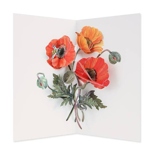 Interior of the card showing pop-up orange poppies in an illustrative watercolor style.