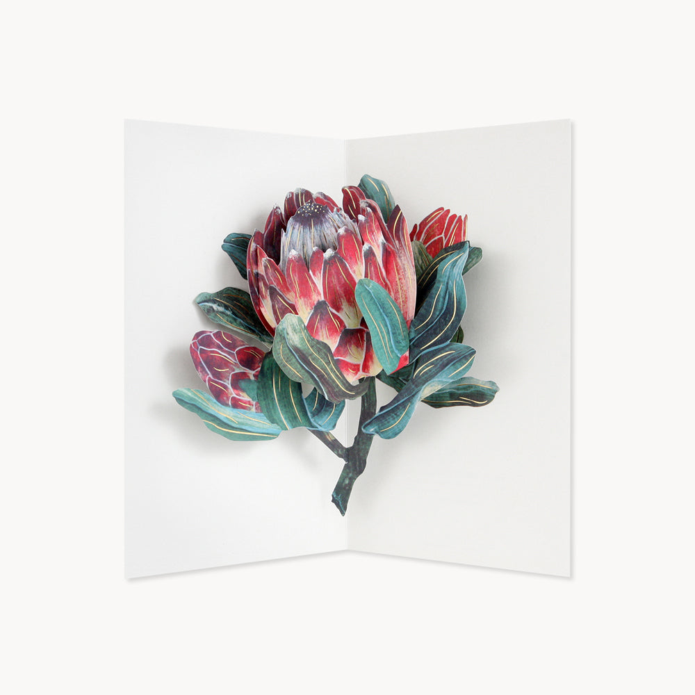 Protea Card | Greeting Card | UWP Luxe | Pink protea pop up card with reflective elements.