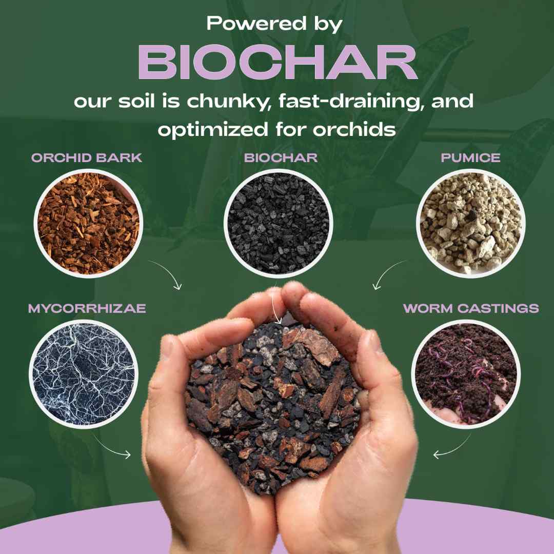 Rosy Soil | Orchid Biochar | Hand holding soil mix with biochar and other ingredients, labeled 'Powered by Biochar'.