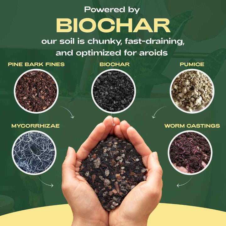 Rosy Soil | Hand holding soil mix with biochar and other ingredients on a green background