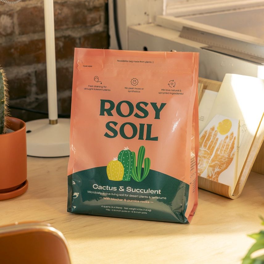 100% natural, peat-free Cactus & Succulent Mix is the perfect soil mix designed for drought-tolerant plants. 4 Qt Bag.