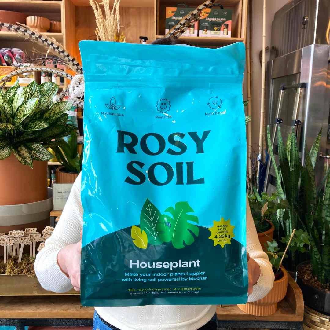 Rosy Soil | 8qt Houseplant soil | make your indoor plants happier with living soil powered by biochar.