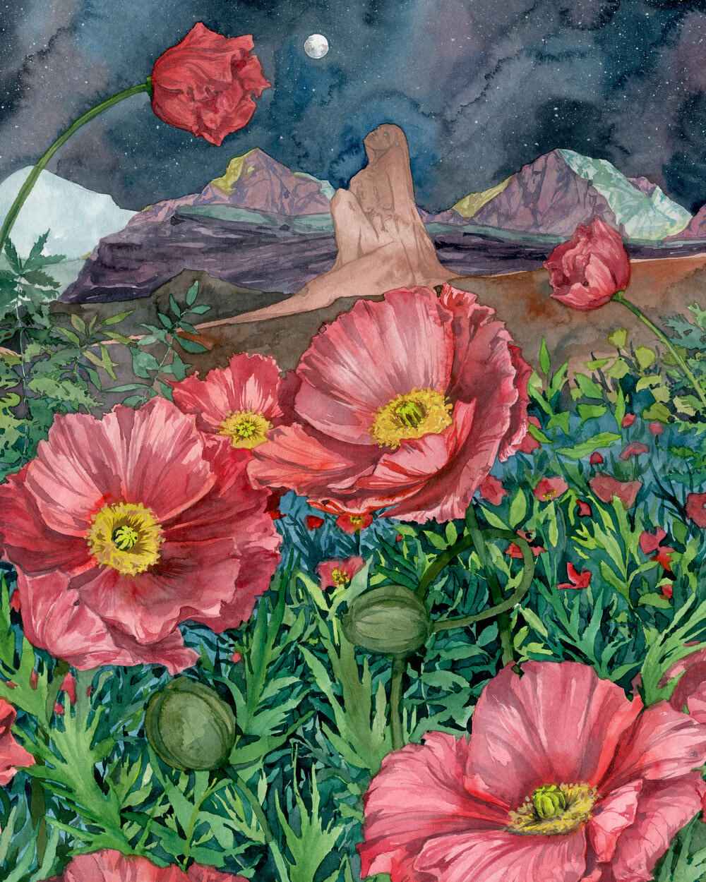 Andrea Durfee | Scorpio watercolor illustration, poppies in a night landscape.
