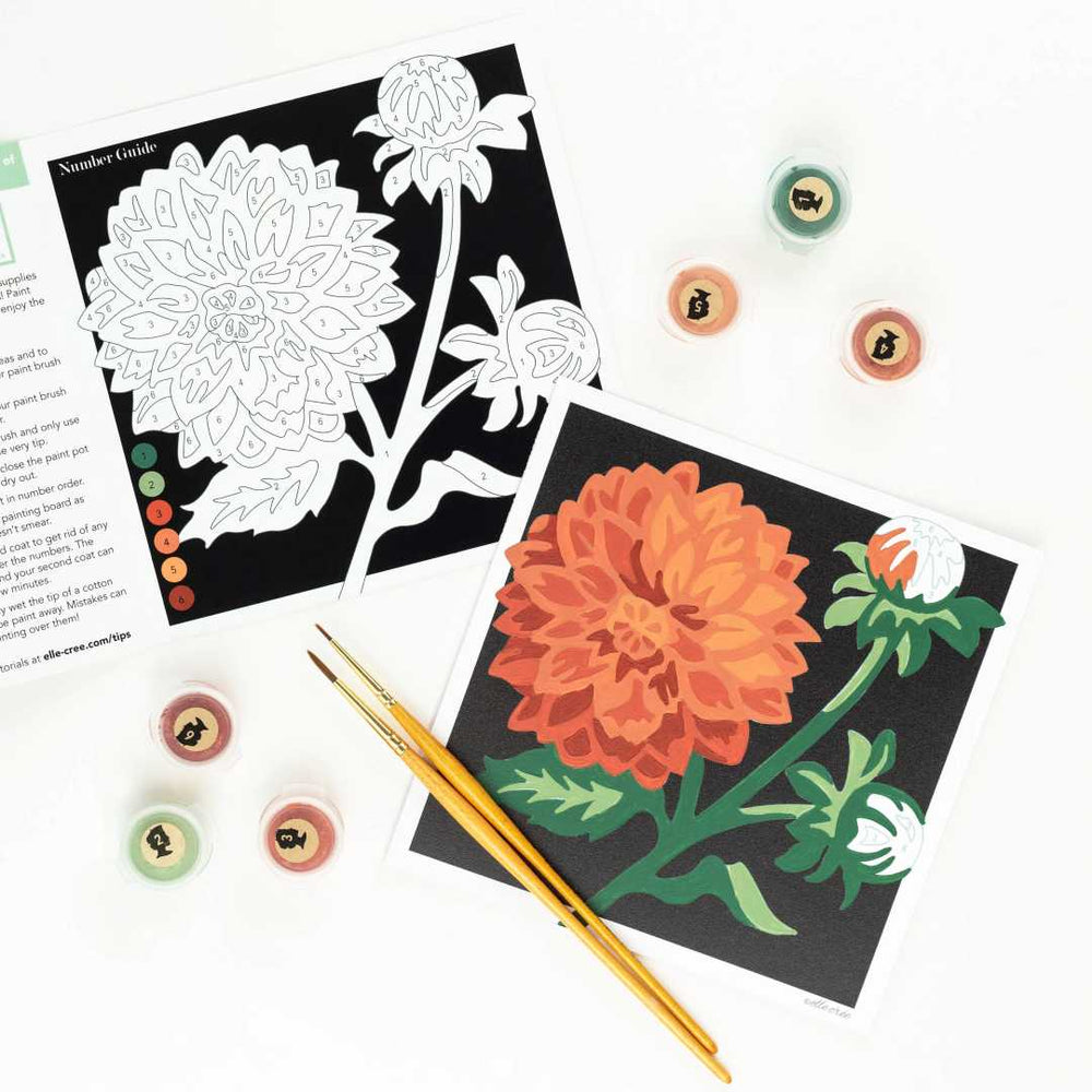 She Creates | Paint by numbers | Dahlia | Guide, paints and brushes and a white background.