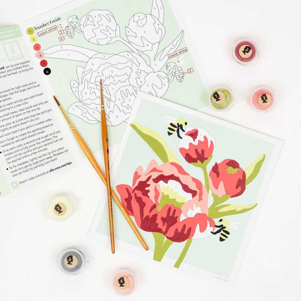 She Creates | Peonies Paint by Numbers | Guide, brushes, and paint.