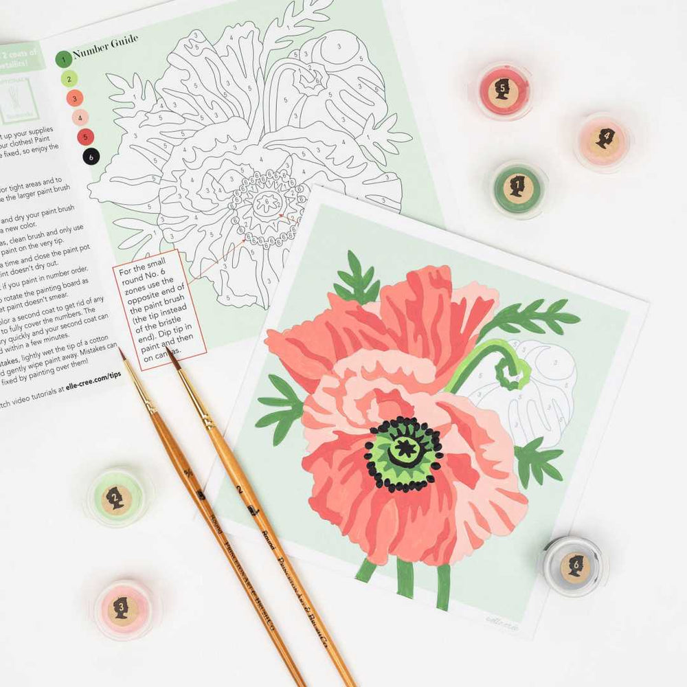 She Create | Paint by numbers with a pink flower design, brushes, and a painting guide guide on a white background.