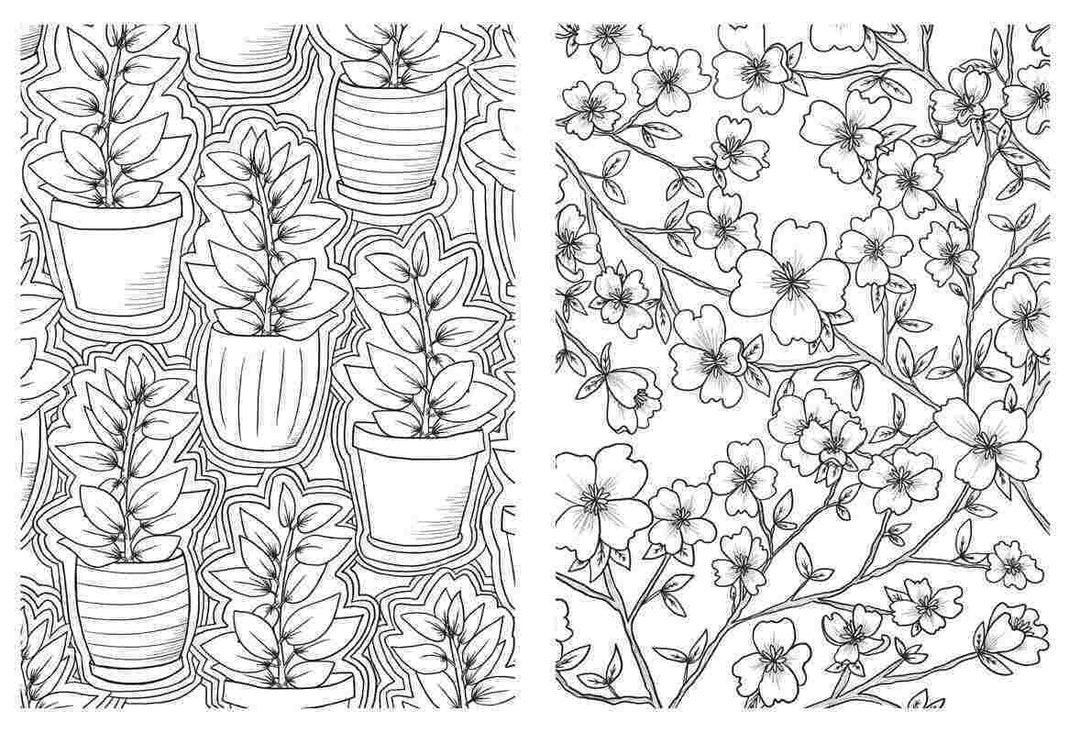 Simon & Schuster | Life With Plants | Coloring Book | A page with potted plants and open blossoms on branches.