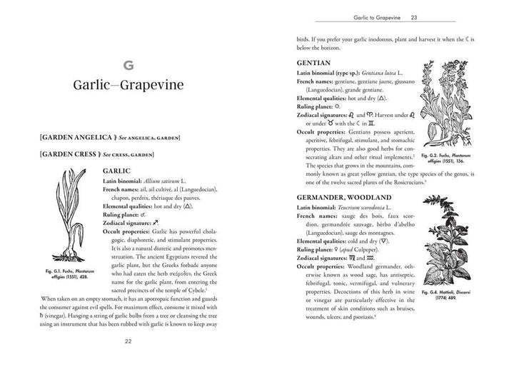 Simon & Schuster | Occult Botany | Garlic -Grapevine