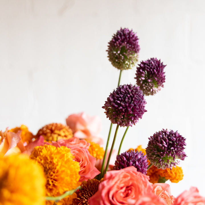 Close-up of a bouquet with purple alliums and other flowers on a light background