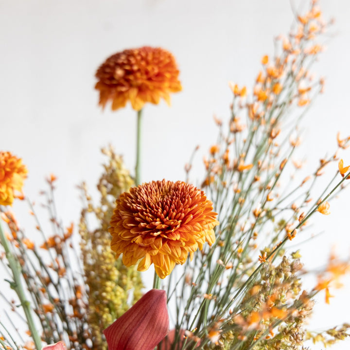 Close-up of orange flowers with a blurred background