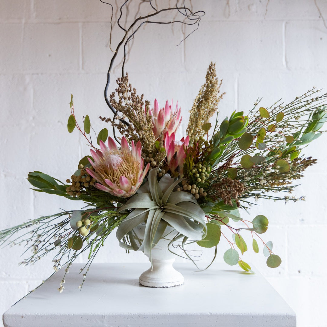 Floral arrangement with pink protea flowers in a white vase on a white surface.