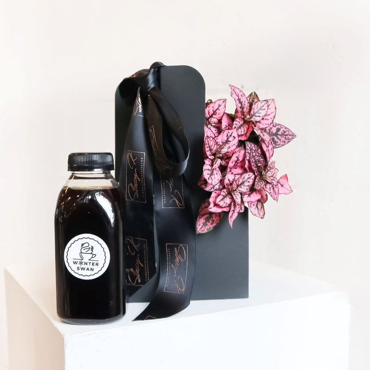 Stacy K Floral | Winter Swan Coffee | A black carrying case with a pink plant and bottle cold brew coffee.