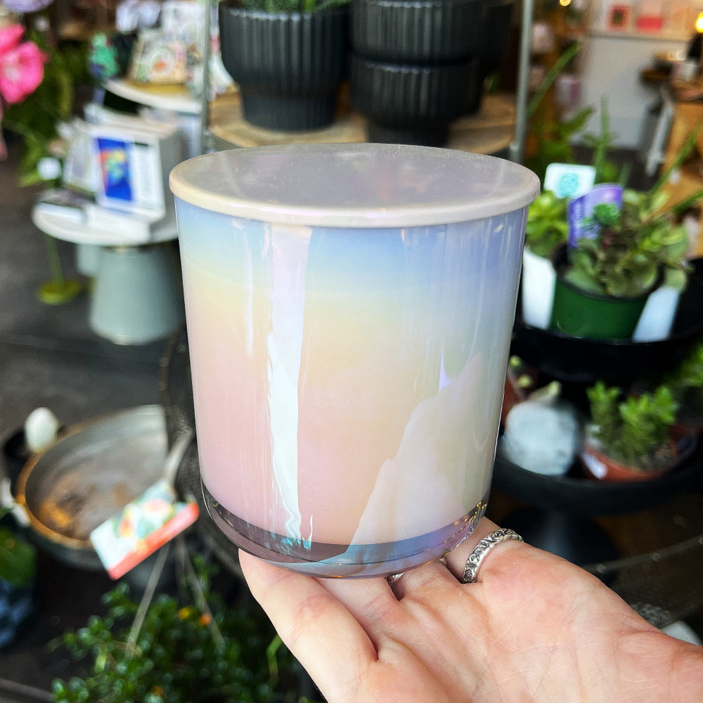 A hand holding a glass jar candle with a pastel gradient design transitioning from light blue at the top to soft pink and cream in the middle, set against a blurred shop background filled with plants.