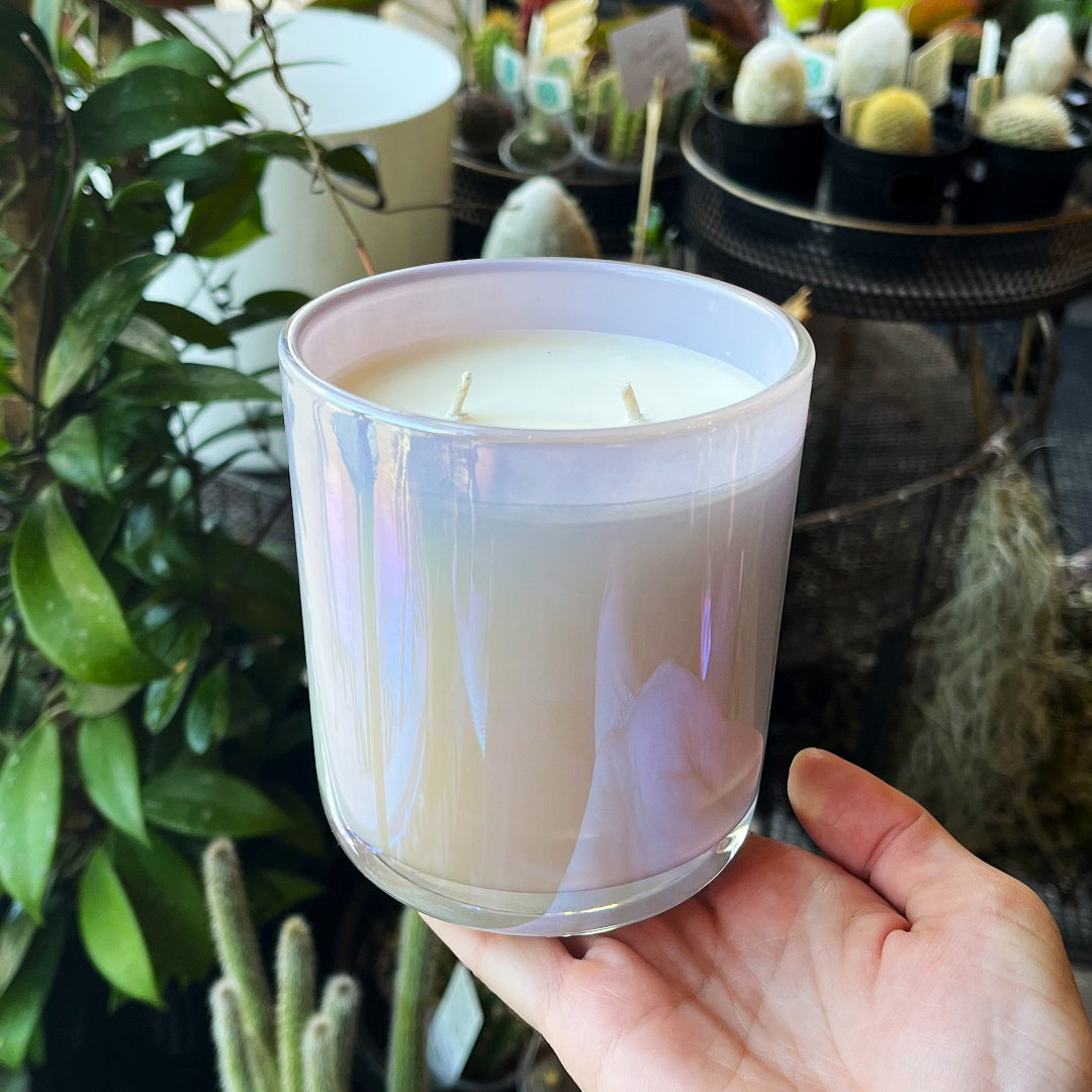 A hand holding a two-wick soy candle in a clear glass jar with an iridescent lavender and pink tint, set against a background of green plants and small potted cacti.