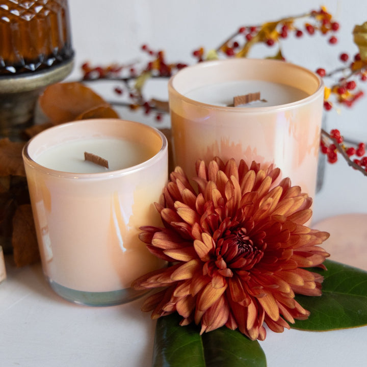 Two candles with a large orange flower in the foreground on a light background