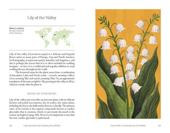 Illustration of Lily of the Valley with text on an orange background