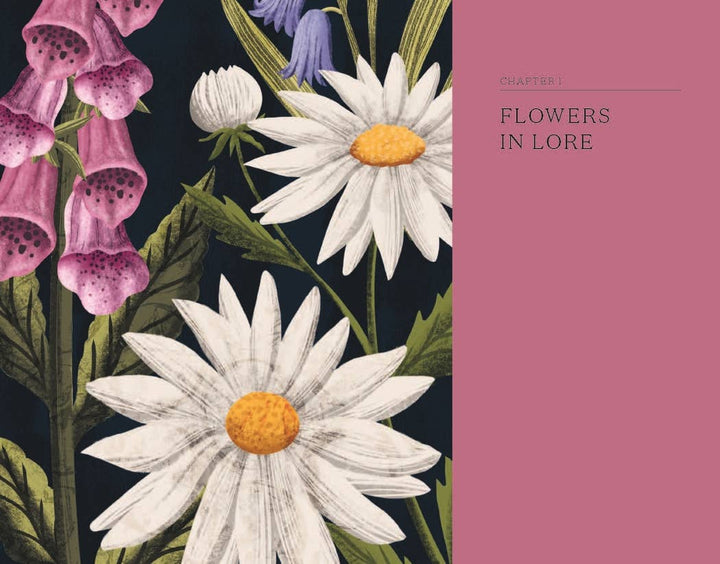 Chapter cover with floral design and text &
