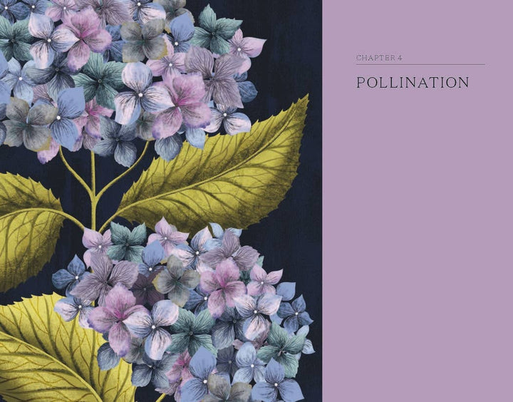 Floral design chapter cover with hydrangeas and leaves on a dark background, featuring the word &